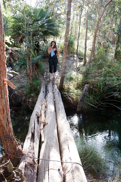 3035 Cape York 550D Aug11 (Medium).jpg
